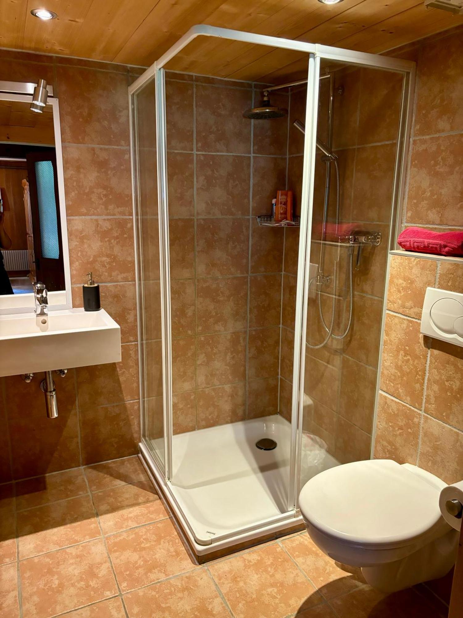 Champéry Guest House Du Grand Paradis - On Piste מראה חיצוני תמונה